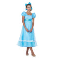 Disney Peter Pan Wendy Adult Costume
