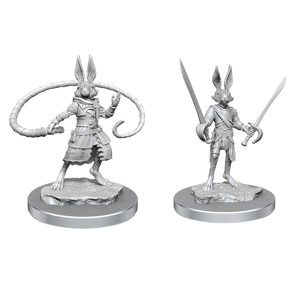 D&D Nolzurs Marvelous Unpainted Miniatures | Harengon Rogues