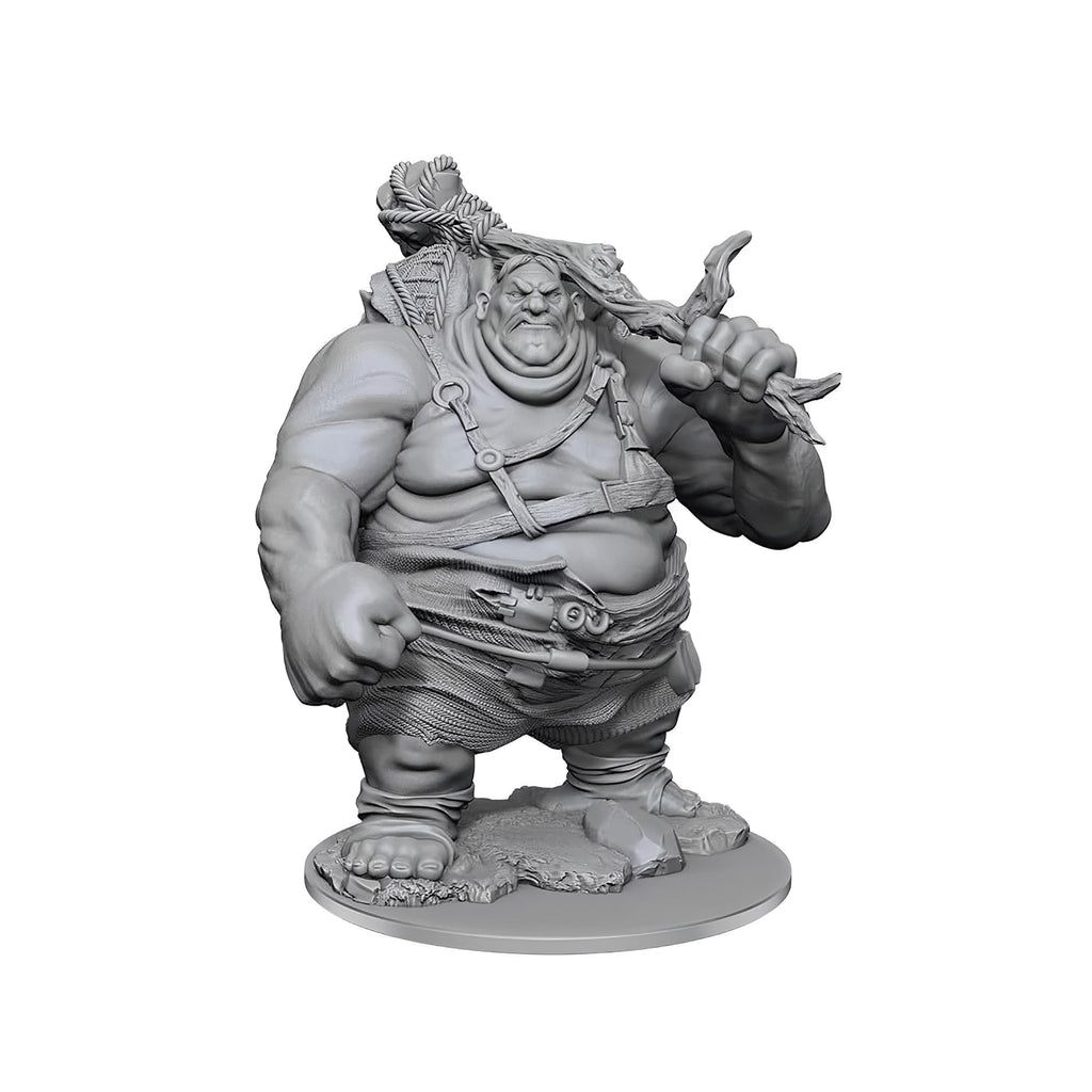 D&D Nolzurs Marvelous Unpainted Miniatures | Hill Giant