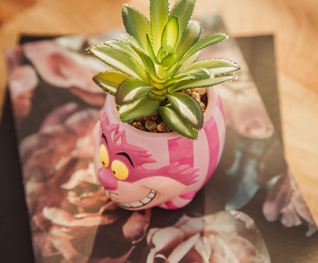 Disney Alice In Wonderland Cheshire Cat Mini Planter with Artificial Succulent