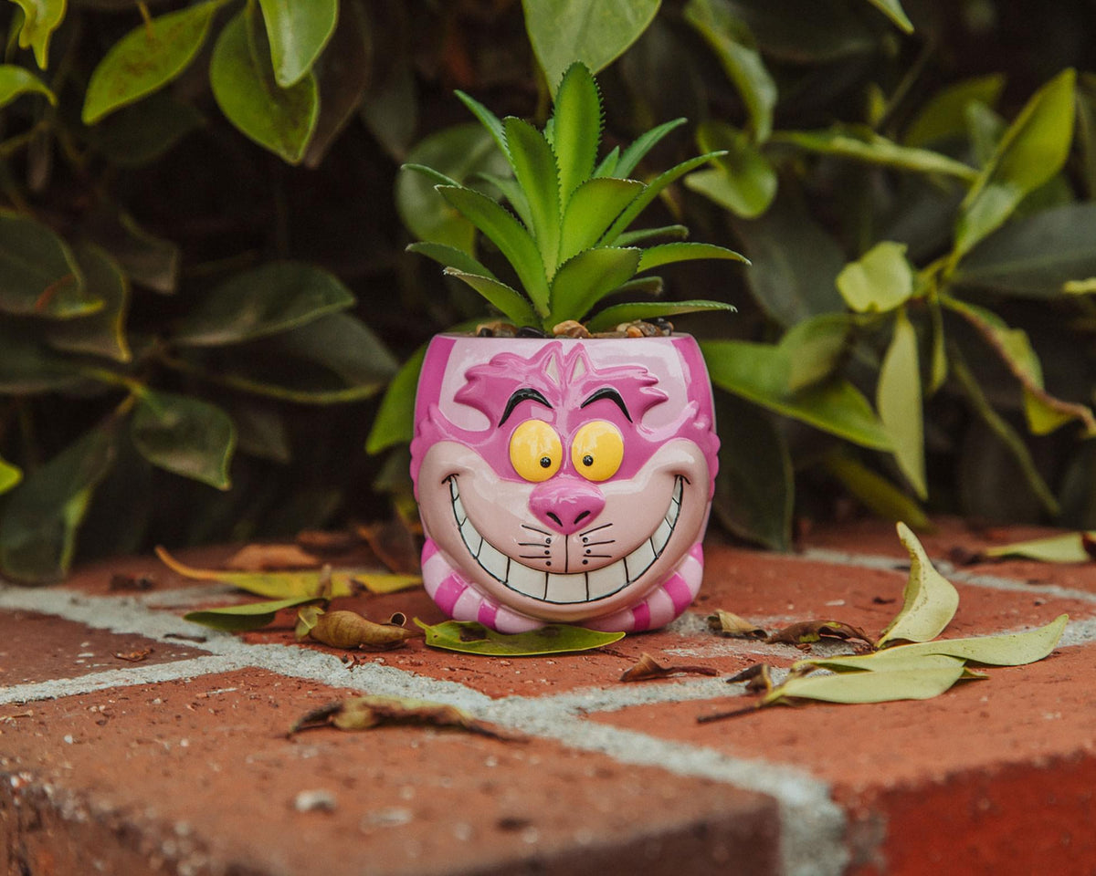 Disney Alice In Wonderland Cheshire Cat Mini Planter with Artificial Succulent