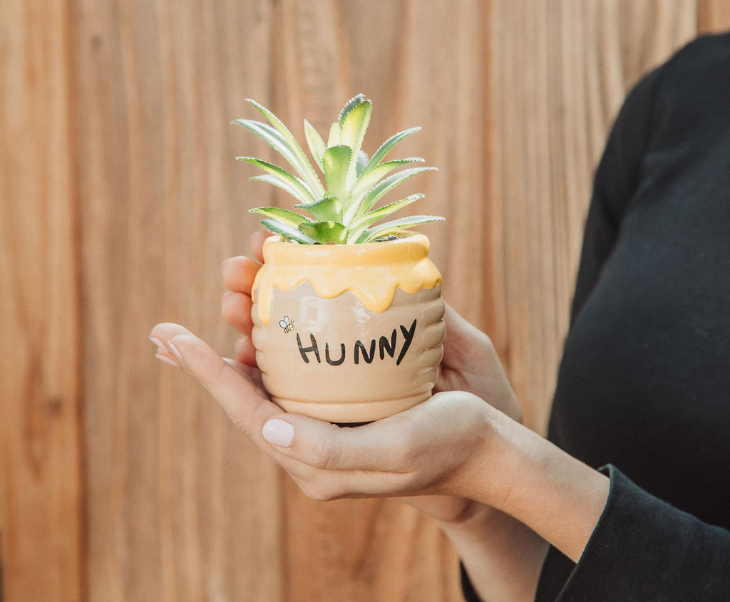 Disney Winnie The Pooh Hunny Pot Ceramic Mini Planter with Artificial Succulent